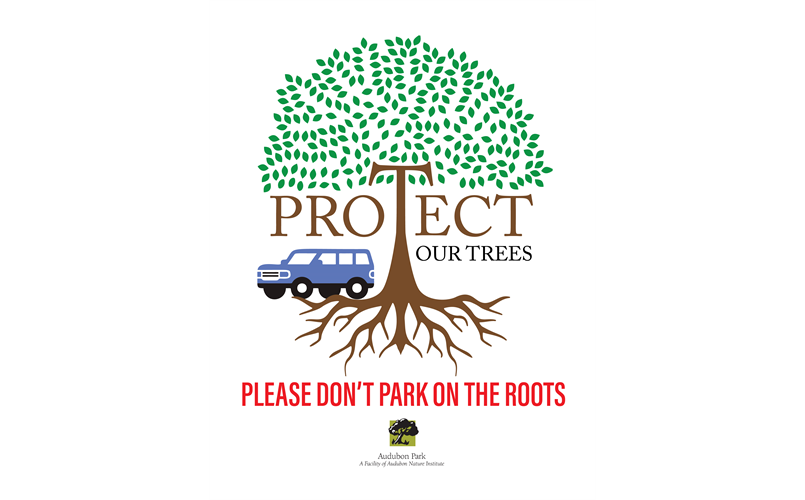 Protect the Trees
